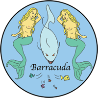 The Barracuda